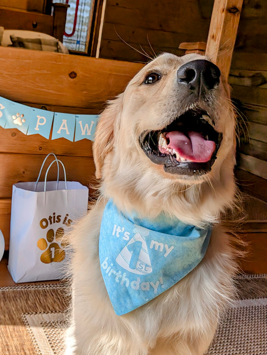 Personalised Over Collar Dog Birthday Bandana